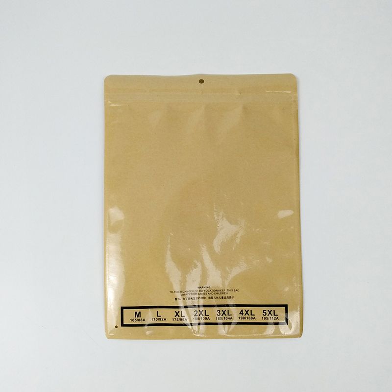 Custom Printing Clothing Packaging Paper Bag Zip Lock