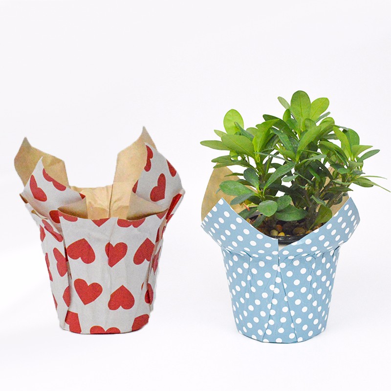 Wholesale Paper Pot  Cover  Manufacturer Paper Flower  Pot  